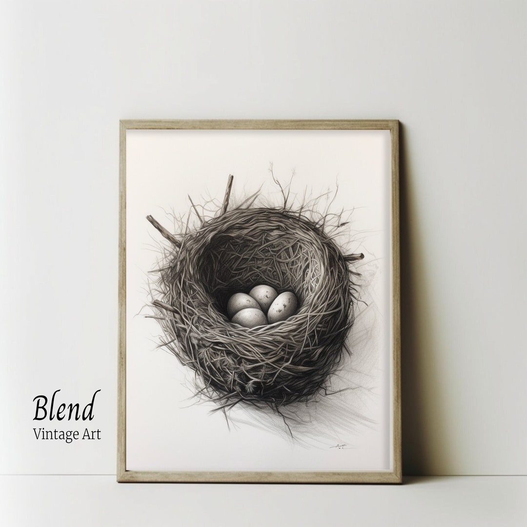 Minimal Drawing of Birds Nest Bird Nest Painting Minimal Etsy