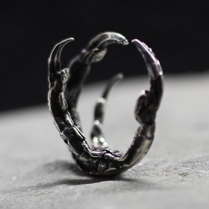 May include: A silver ring shaped like a bird's claw, with detailed sculpting. The ring is resting on a gray stone surface.