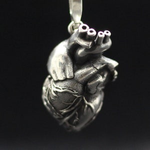 Anatomical human heart jewelry pendant. All-metal anatomical heart. Detailed highly anatomical. Heart valves anatomy. Love symbol romantic image 1
