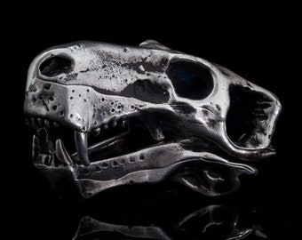 Anatomically accurate Inostrancevia gorgonopsia therapsida dinosaur skull. Pravoslavlevia. Dinosaur scull. Openable jaw Paleontology