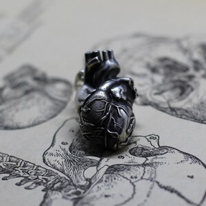 Anatomical human heart jewelry pendant. All-metal anatomical heart. Detailed highly anatomical. Heart valves anatomy. Love symbol romantic image 5