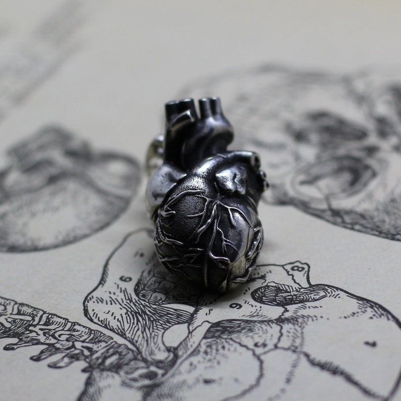 Anatomical human heart jewelry pendant. All-metal anatomical heart. Detailed highly anatomical. Heart valves anatomy. Love symbol romantic image 5