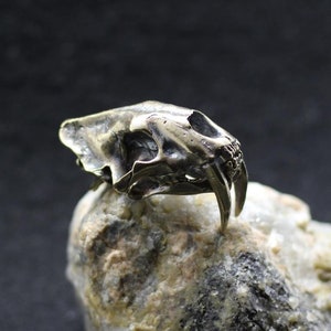 Detailed Highly anatomical Smilodon fatalis saber-toothed tiger skull pendant Dinosaur scull Ancient tiger figure of smilodon silver brass brass