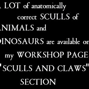Detailed Highly anatomical Smilodon fatalis saber-toothed tiger skull pendant Dinosaur scull Ancient tiger figure of smilodon silver brass image 4