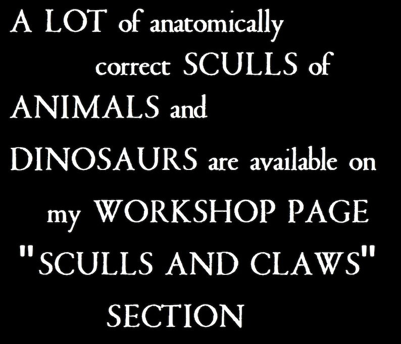 Detailed Highly anatomical Smilodon fatalis saber-toothed tiger skull pendant Dinosaur scull Ancient tiger figure of smilodon silver brass image 4