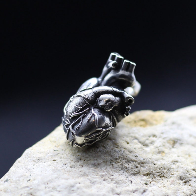 Anatomical human heart jewelry pendant. All-metal anatomical heart. Detailed highly anatomical. Heart valves anatomy. Love symbol romantic image 3