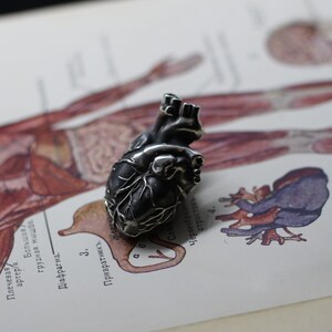 Anatomical human heart jewelry pendant. All-metal anatomical heart. Detailed highly anatomical. Heart valves anatomy. Love symbol romantic image 2