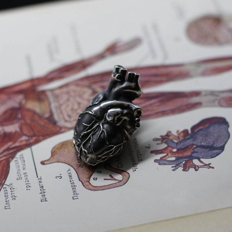 Anatomical human heart jewelry pendant. All-metal anatomical heart. Detailed highly anatomical. Heart valves anatomy. Love symbol romantic image 2