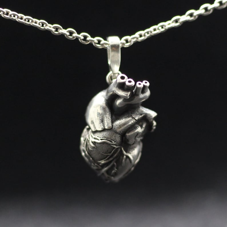 Anatomical human heart jewelry pendant. All-metal anatomical heart. Detailed highly anatomical. Heart valves anatomy. Love symbol romantic image 1