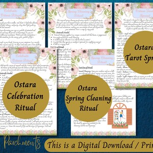 May include: Printable digital download of a tarot spread for the Ostara celebration. The spread is designed to help you with your intentions for the season. The spread includes cards for:  Spring, Bloom, Balance, Your Realm, Light, & Return.