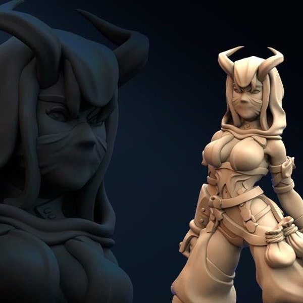 Líder de Shadow Casher /TTRPG/ NSFW/ por Belksasar 3dprint