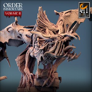 Immortalis Dragon Guard | DND| TTRPG| Premium Quality  ECO Resin | by Rescale Miniatures