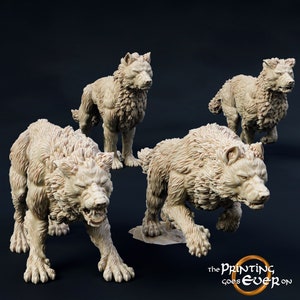 Wargs | DND| TTRPG| Premium Quality ECO Resin | by The Printing Goes Ever On