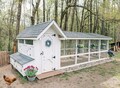 Chicken Coop & Run Enclosure Building Plans | Walk In Secure Backyard Chicken Coop for 10-12 Chickens | Digital Download DIY Plans