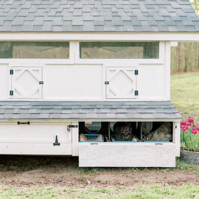 May include: A white wooden chicken coop with a dark gray shingled roof. The structure features two square doors with diamond-shaped trim and a lower nesting box area with three open compartments containing blue plastic bins and two chickens.