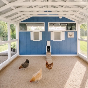 May include: A blue chicken coop with a white roof frame and large windows on the sides. The interior features a sandy floor, three chickens, two small windows with white shutters, a small door with a ramp, and a sign that reads Fresh Eggs.