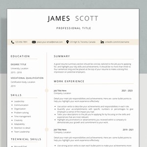 Professional Resume Template without Photo | CV Template | Resume Template Canva | Cover Letter and References Template | Instant Download