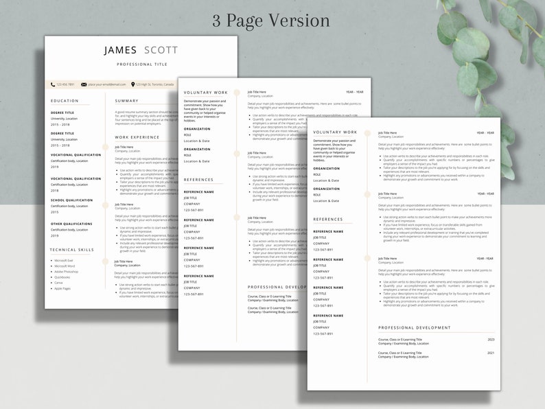 Professional Resume Template Without Photo CV Template Resume Template Professional Resume Template Without Photo CV Template Resume Template