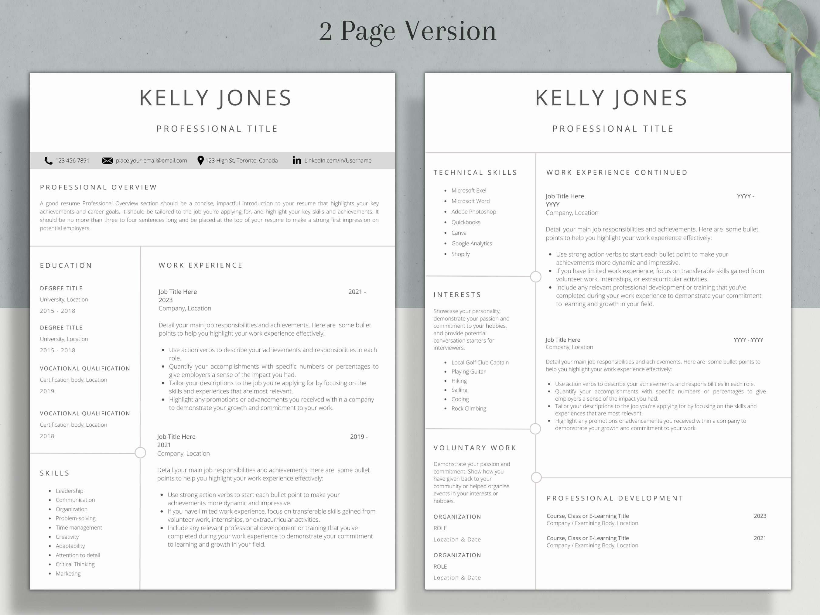 Resume Without Address Professional Resume Template Without Photo | CV Template | Resume ...