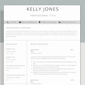 Professional Resume Template without Photo | CV Template | Resume Template Canva | Cover Letter and References Template | Instant Download