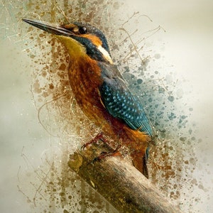 May include: A blue and orange kingfisher perched on a branch, painted in a watercolor style with splashes of color.