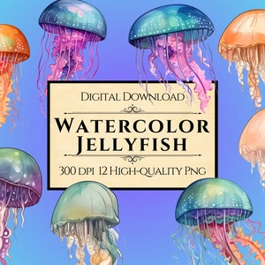 Watercolor Jellyfish Collection- PNG great for scrapbooking, digital art, decoupage art