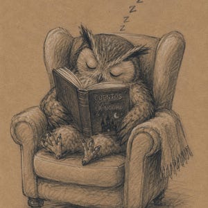 Puede incluir: Un dibujo a lápiz de carbón sobre papel color canela de un búho con los ojos cerrados durmiendo en un sillón mientras sostiene un libro abierto titulado Cuentos de la Noche. El búho tiene mechones en las orejas y garras sobre el asiento.
