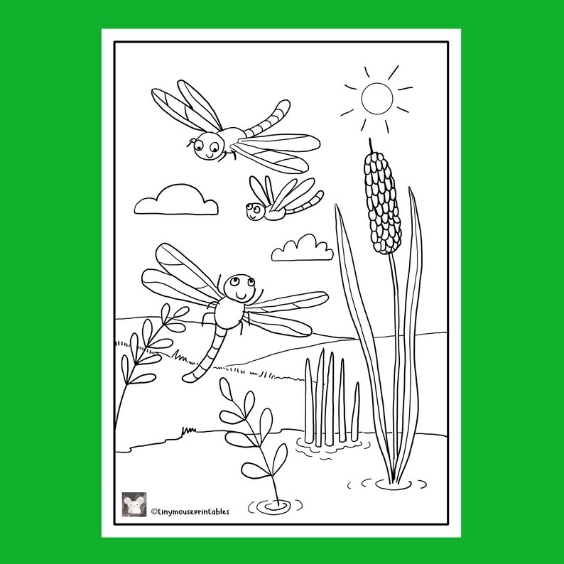 Minibeast Bundle Coloring Pages,insect Bugs School Learning Printable