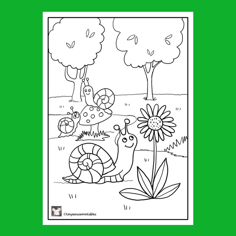 Minibeast Bundle Coloring Pages,insect Bugs School Learning Printable