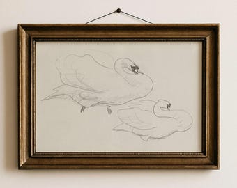Vintage PRINTABLE Swan Sketch Wall Art Elegant Nursery Decor for Kids Room Minimalist Baby Animal Print Unique Gift for New Parents | 19