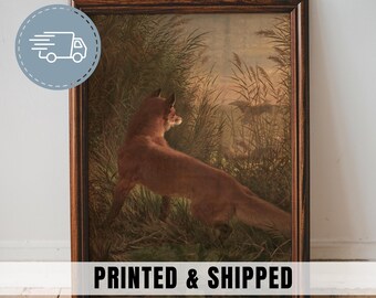 May include: A framed vintage print of a fox in a field of tall grass. The fox is reddish-brown with a white chest, and is looking to the right. The print is in a dark brown wooden frame. Text at the bottom reads "PRINTED & SHIPPED".