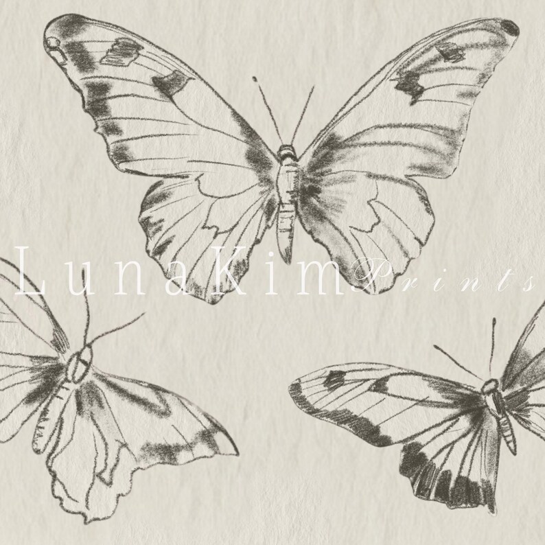 Puede incluir: Un dibujo en blanco y negro de tres mariposas sobre un fondo beige. Las mariposas est&aacute;n en varias posiciones, con sus alas extendidas. El dibujo es simple y elegante, con un toque vintage.