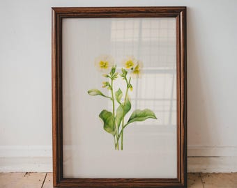 Vintage Yellow Wildflower Print Baby Nursery Minimal Yellow Flower Wall Art Timeless Nursery Room Decor Toddler Floral PRINTABLE Art | 05