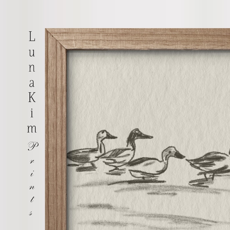 May include: A black and white pencil drawing of four ducks swimming in a pond. The ducks are drawn in a simple, stylized manner, with their heads and beaks clearly visible. The drawing is framed in a light brown wooden frame.
