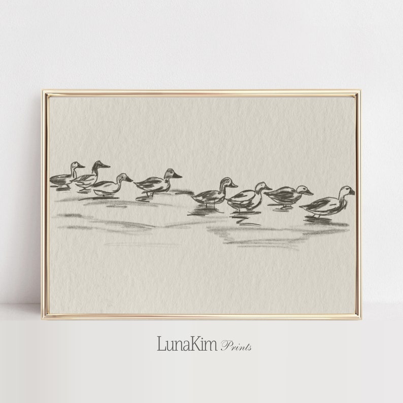 May include: A black and white line drawing of a group of ducks swimming in a row. The ducks are drawn in a simple, minimalist style, and the water is depicted with subtle shading.