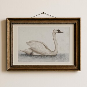 Swan Nursery Wall Art Printable Animal Illustration For Boys Room Soft Pastel Baby Decor Vintage Style Bird Artwork For Toddler Bedroom | 58