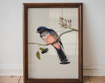 巣の中の鳥の家族の水彩画、森の保育園の鳥のアート、子供部屋用の