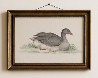 Goose Nursery Art For Boy Room Farm Animal Wall Decor Printable Vintage Style Toddler Bedroom Woodland Goose Illustration Artwork | 68