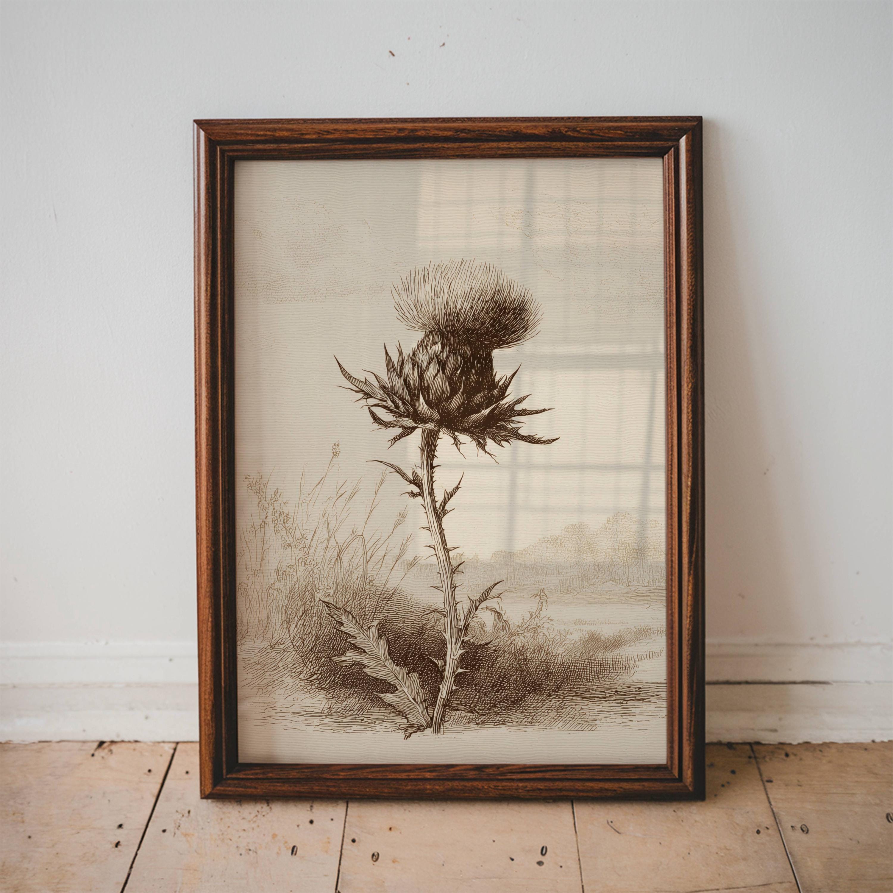 ヴィンテージ アザミ ボタニカル ウォールアートプリント アンティーク