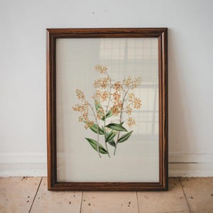 Vintage orange Blumen Druck für Baby Kinderzimmer Minimal botanische Wand Kunst Kleinkind Zimmer Dekor Blumen Illustration DRUCKBARE Kunstwerk | 16