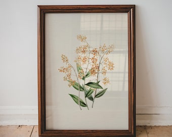 Lámina vintage de flores naranjas para habitación infantil. Arte minimalista botánico para la pared. Decoración para habitación de niños pequeños. Ilustración floral. Lámina imprimible / 16
