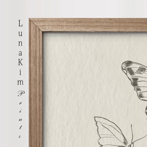 Puede incluir: Una impresi&oacute;n enmarcada con una ilustraci&oacute;n en blanco y negro de dos mariposas. Las mariposas est&aacute;n dibujadas en un estilo vintage y se colocan sobre un fondo blanco.
