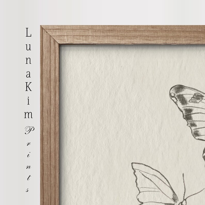 Puede incluir: Una impresi&oacute;n enmarcada con una ilustraci&oacute;n en blanco y negro de dos mariposas. Las mariposas est&aacute;n dibujadas en un estilo vintage y se colocan sobre un fondo blanco.