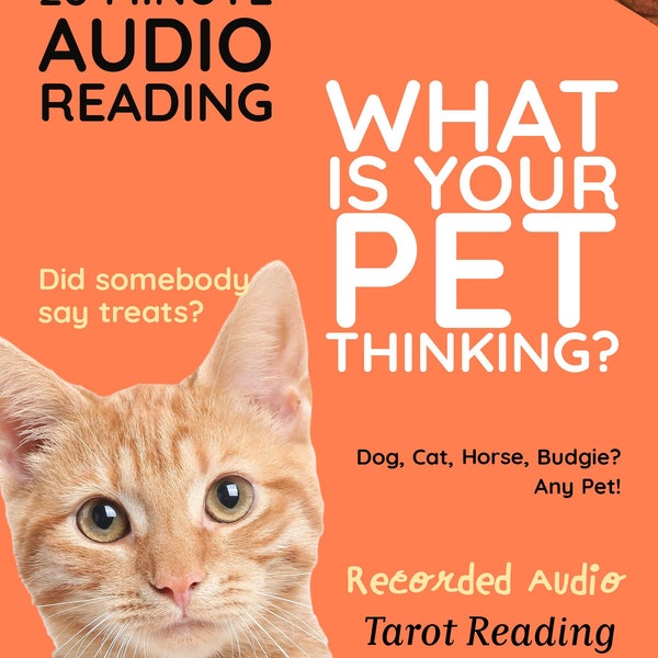 20 Minute Recorded Tarot Audio Pet Reading. Find Out What Your Pet Wants You To Know!