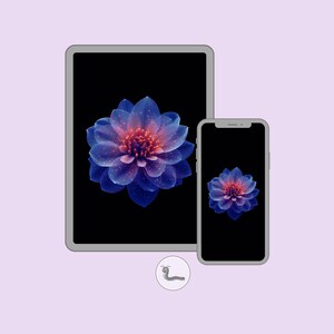 Puede incluir: Una tableta y un smartphone muestran una vibrante flor azul y rosa sobre un fondo negro. Los dispositivos se colocan sobre un fondo lila claro, creando una estética moderna y artística.
