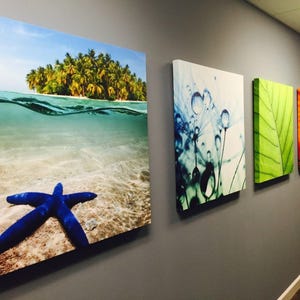 a wall with four different paintings hanging on it, depicting various scenes and subjects.