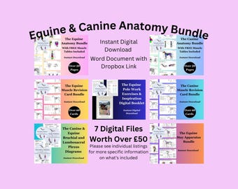 May include: A collection of digital files titled "Equine & Canine Anatomy Bundle" on a pink background. The bundle includes anatomy guides, revision cards, and digital booklets. Text includes "Instant Digital Download" and "Over 20 Pages".