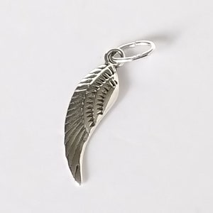 May include: A silver charm in the shape of a stylised feather with a detailed design. The charm has a loop at the top for attaching to a bracelet or necklace.