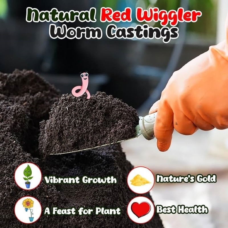 Organic Worm Castings Nutrientrich Soil Supplement for Houseplants Etsy