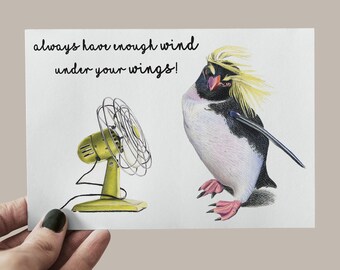 Carte postale pingouin vent, carte pingouin, carte félicitations pingouin, pingouin fan